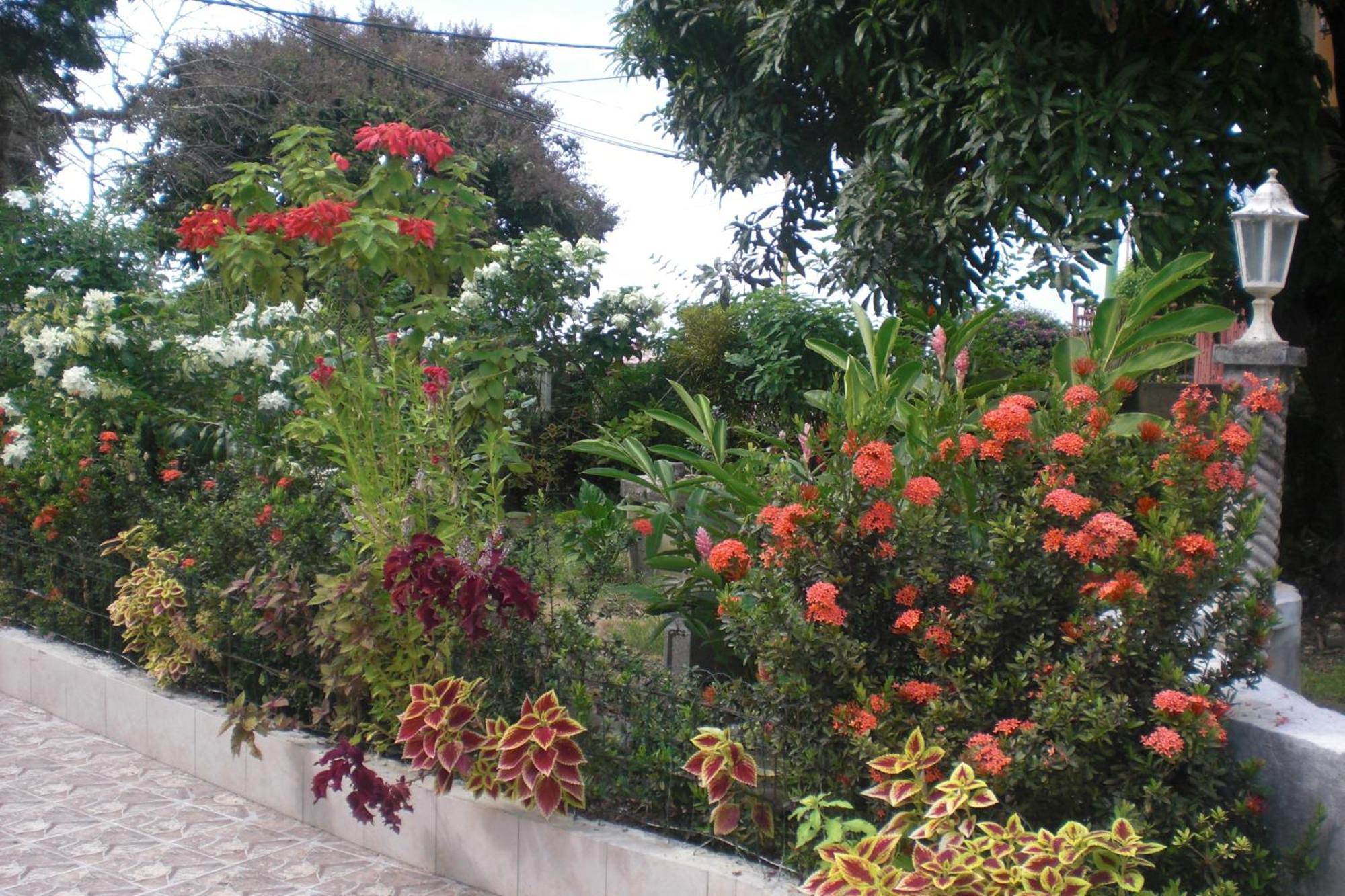 Residence Madelia Port-Louis Dış mekan fotoğraf